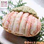 魚政 プレミアムズワイガニ甲羅盛り 蟹の漢船 中小サイズ 700g級 北海道・沖縄送料別 ズワイガニ 雄 甲羅盛り カニ 蟹 蟹味噌 茹で蟹 御祝 ギフト お取り寄せ