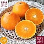 岡山 晴富 愛媛産 紅まどんな 8個 12月上旬〜12月中旬出荷 指定日不可 送料無料 柑橘類 柑橘 みかん 果物 フルーツ くだもの お取り寄せ 贈答  産地直送