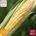 Inakakara Farm to Table Yamanashi префектура производство . заправка . Dream 6шт.@5 месяц последняя декада из 6 месяц последняя декада отгрузка указанный день не возможно Okinawa * отдаленный остров доставка не возможно бесплатная доставка кукуруза прямая поставка от производителя специальный отбор товар 