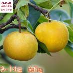 JA все сельское хозяйство .... Tottori производство груша . futoshi 9-14 шар примерно 5kg 9 месяц последняя декада ~10 месяц сверху . отгрузка указанный день не возможно Hokkaido * Okinawa доставка отдельно фрукты фрукты Tottori префектура ваш заказ прямая поставка от производителя .. было использовано .