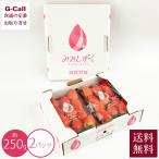  Shiga префектура производство клубника ..... примерно 250g×2 упаковка 3 месяц сверху .~4 месяц сверху . отправка указанный день не возможно бесплатная доставка клубника . клубника клубника глава .. клетка . Shiga ваш заказ прямая поставка от производителя 