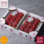  Miyagi производство migaki клубника * серебряный 320g 8 шарик ~15 шарик 2 упаковка 2 месяц сверху .~3 месяц последняя декада до отправка указанный день не возможно бесплатная доставка Osaka город центр рынок десять тысяч .. клубника клубника серебряный 