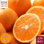 三崎共選 貯蔵 清見タンゴール 秀品