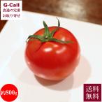  ферма блестящий. фрукты помидор солнечный помидор примерно 800g 12~16 штук входит 2 месяц сверху .~5 месяц сверху . отгрузка указанный день не возможно бесплатная доставка Kochi ферма .... помидор овощи ... прямая поставка от производителя 