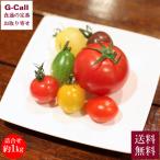  ферма блестящий. фрукты помидор солнечный помидор . мини помидоры. набор примерно 1kg 2 месяц сверху . из 5 месяц сверху . отгрузка указанный день не возможно бесплатная доставка ферма .... помидор ... прямая поставка от производителя 