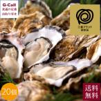 【指定日必須】 清浄浄化 生食用 的矢かき 殻付20個 送料無料 まとやかき 佐藤養殖場 三重 カキ 牡蠣 オイスター 魚介 産地直送 シーフード おつまみ お取り寄せ