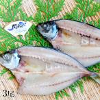 関あじ 一夜干し3尾 大分県漁業協同