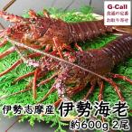  Исэ город .. гора глициния Исэ город море . итого примерно 600g 2 хвост Hokkaido * Сикоку / Kyushu * Okinawa доставка отдельно Исэ город .. лангуст море ... дешевый Новый год новогодние каникулы ваш заказ прямая поставка от производителя .. праздник 