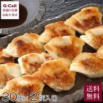 芦屋 伊東屋謹製  一口餃子 壱心 2折入 送料無料 餃子 冷凍 ギョウザ 一口 ぎょうざ 芦屋 伊東屋 神戸 総菜 おかず おつまみ 中華惣菜 HI-35