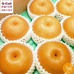  новый . груша 5kg 7~12 шар земля рисовое поле сельское хозяйство . Niigata префектура производство 11 месяц первая декада ~2 месяц средний . примерно отгрузка указанный день не возможно Hokkaido * Сикоку / Kyushu * Okinawa доставка отдельно груша .. было использовано фрукты фрукты подарок .. прямая поставка от производителя 