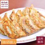 宇都宮餃子館 宇都宮餃子 贅沢セット 4種 計48個 北海道/四国/九州・沖縄送料別 中華 惣菜 冷凍 簡単 ぎょうざ ギョウザ 本格