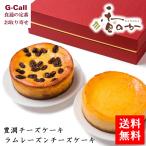 香のか チーズケーキセット 豊潤チーズケーキ ラムレーズンチーズケーキ 各1個 送料無料 お取り寄せ 洋菓子 スイーツ ケーキ 詰め合わせ ギフト 贈答 手土産