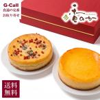 香のか チーズケーキセット 豊潤チーズケーキ ゴルゴンゾーラのチーズケーキ 【北海道・沖縄発送不可】 送料無料 お取り寄せ 洋菓子 スイーツ ケーキ 詰め合わせ