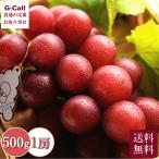 石川産 オリジナルぶどう 秀品 ルビーロマン 500g以上 7月下旬〜9月中旬出荷 送料無料 果物 フルーツ グレープ お取り寄せ ギフト 贈答 プレゼント 石川県 大粒
