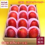 ショッピング果物 台湾産 完熟アップルマンゴー お徳用 約5kg 8〜14玉 送料無料 お取り寄せ 空輸便 輸入箱 トロピカルフルーツ 果物 ベルフーズ アーウィン種 露地物 産地直送