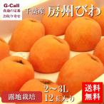  Chiba production .. loquat . ground thing 2~3L 12 sphere free shipping biwa loquat fruit .. thing fruit gift .... large sphere .. fruit ...... gift your order 