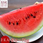 富里スイカ Lサイズ 2玉 各6~7kg 北海道・四国/九州・沖縄送料別 6月上旬〜7月上旬出荷 JA富里市 果物 ギフト 贈答 旬 お取り寄せ 千葉県 フルーツ すいか 西瓜