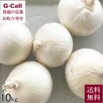  Hokkaido . хорошо . производство белый лук репчатый белый wing 10kg Kyushu * Okinawa доставка отдельно 9 месяц последняя декада ~2027 год 1 месяц сверху . отправка указание не возможно шар лук порей овощи ... свежий сырой еда прямая поставка от производителя 
