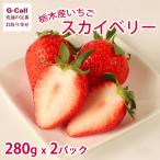  Tochigi производство клубника Sky Berry 280g 2 упаковка 1 месяц последняя декада ~4 месяц средний . отгрузка указанный день не возможно Hokkaido * Сикоку * Kyushu * Okinawa доставка отдельно крупный . клубника фрукты фрукты . высота сахар раз ..