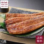 ショッピングうなぎ 国産 【冷蔵】 浜松 うなぎの井口 国産うなぎ蒲焼 国産 うなぎ 長蒲焼 4尾セット 送料無料 無添加 蒲焼 かば焼き ウナギ 冷蔵 鰻 惣菜 魚介 和食 ギフト