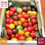  Kochi производство ферма блестящий красочный мини помидоры. драгоценнный камень коробка примерно 1kg 12 месяц сверху . из 5 месяц последняя декада отгрузка указанный день не возможно бесплатная доставка Kochi фрукты помидор помидор еда . сравнение земля . овощи сомелье 