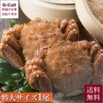 えりも食品 活蒸し毛蟹 特大サイズ 1尾 計600g 送料無料 蟹 毛蟹 カニ かに 毛ガニ 脚 剥き身 蟹みそ 蟹味噌 北海道 産地直送 お取り寄せ お祝い 贈答 ギフト