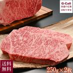 サーロインの真ん中脂をすべて除去した贅沢なステーキ　内山肉店 にいがた和牛 雪温貯蔵 シャトーロイン 250g×2枚 送料無料 和牛 牛肉 お肉 サーロイン ステーキ 高級肉 お祝い 贈答 ギフト 瞬間冷凍 新潟 産地直送