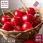 万果 ジュノハート さくらんぼ 15粒 3L 送料無料 取り寄せ フルーツ 果物 産地直送 冷蔵 化粧箱 ギフト 贈答 大粒 高糖度 新品種 青森産 青森 紅秀峰 サミット