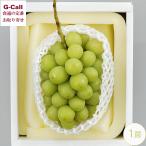  Okayama производство рефрижератор автомобиль in мускат примерно 700g 1..... Okayama Okayama префектура синий фрукты распродажа 11 месяц сверху .~12 месяц средний . отгрузка указанный день не возможно Hokkaido * Okinawa доставка отдельно фрукты виноград .. подарок 