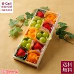 ショッピングいちご Xmas Fruits Coffret フルーツコフレ 3種 詰め合わせ カード付き 12月20日〜22日出荷 指定日不可 送料無料 いちご シャインマスカット みかん フルーツ ギフト