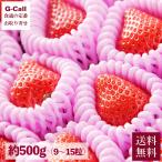  Kochi префектура производство клубника .... примерно 500g 9 шарик -15 шарик 2 месяц сверху . из 4 месяц средний . отгрузка указанный день не возможно бесплатная доставка крупный . клубника клубника Kochi большой шар высота сахар раз высококлассный фрукты фрукты ..