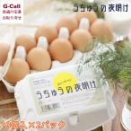 u.... ночь открытие 10 штук входит 2 комплект Hokkaido * Okinawa доставка отдельно яйцо куриное яйцо роскошь Tama .. тест Kyoto прекрасный гора блок безопасность безопасность flat .. свежий тщательно отобранный .. производитель прямая поставка ваш заказ 