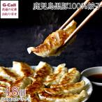 餃子のビッグファイブ 鹿児島黒豚100%餃子 16個 3パック 北海道・沖縄送料別 ギョウザ 中華 タレ 冷凍 豚肉 国産野菜 惣菜 おかず ギフト 贈り物 メーカー直送