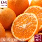 三崎共選 清見タンゴ�