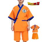  Dragon Ball Z джинбей выставить . пустой герой nali сверло Jump верх и низ в комплекте костюмированная игра лето M L XL
