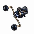 DAIWA（釣り） 23 ソルティガIC 100H-DH 釣り ベイトリール - 最安値