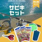 釣り人応援セール PG入門サビキセット300 東海オリジナル