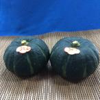 . Chan юг .1 штук 