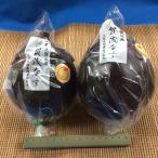  Kyoto сверху .. производство книга@.. баклажан 2L превосходящий 2 штук 