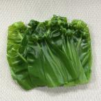 ¥ª¥ª¥¿¥Ë¥ï¥¿¥ê¤Î¿·²ê 1pc