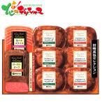 伊藤ハム 田崎真也セレクションローストビーフ&ハンバーグ YO40 ギフト 贈り物 お祝い お礼 お返し 肉 ローストビーフ ハンバーグ グルメ 送料無料 お取り寄せ