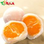  новый .. целиком мандарин большой удача (8 шт ) 2025 зима подарок подарок по случаю конца года . новогоднее поздравление подарок подарок праздник .. внутри праздник . японские сладости большой удача мандарин большой удача комплект конфеты ваш заказ 