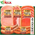 北海道トンデンファームギフト TNB-3