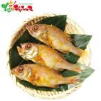  горло .. запад столица ..2025 зима подарок подарок по случаю конца года . новогоднее поздравление подарок подарок праздник .. внутри праздник . ежедневное блюдо вода производство запад столица .. горло ..nodo Glo комплект гурман ваш заказ 