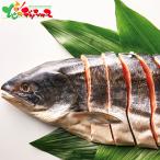 佐藤水産 北海道産 銀毛新巻鮭姿切身(半身) 夏ギフト お中元 暑中見舞い 残暑見舞い ギフト 贈り物 贈答 プレゼント セット 詰め合わせ お取り寄せ