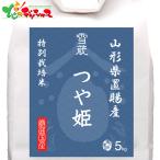  Yamagata префектура .. производство блеск . специальный культивирование 5kg 2026 лето подарок подарок на Bon Festival жара средний видеть Mai . осталось жара видеть Mai . подарок подарок .. подарок комплект набор ваш заказ 