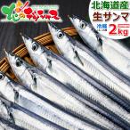 【出荷中】北海道産 生サンマ 2kg (13尾-15尾入り/クール冷蔵) 旬 秋の味覚 新鮮 生 さんま サンマ 秋刀魚 根室 釧路 ギフト 贈り物 北海道 グルメ お取り寄せ
