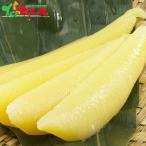 三浦水産 北海道産 塩数の子 2025 お歳暮 お正月 ギフト 贈り物 水産 海鮮 魚卵 ニシン 鰊 カズノコ 北海道 お取り寄せ