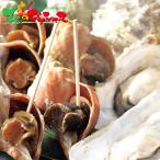 yamaheumihe Hokkaido производство синий ..*.. комплект YU-MR2 2025 подарок по случаю конца года Новый год подарок подарок синий .. устрица tsub.. комплект набор Hokkaido гурман ваш заказ 