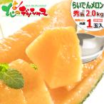 【予約】北海道産 ら�